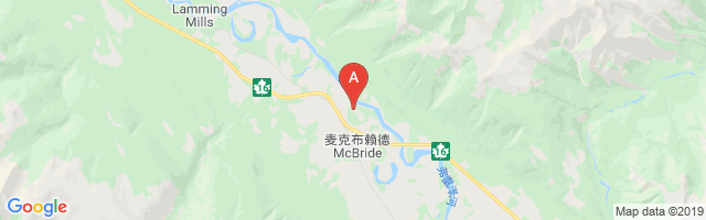 Mcbride Airport图片