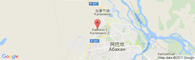 阿巴坎国际机场 Abakan Airport图片