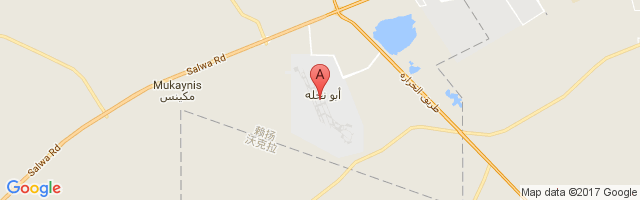Al Udeid Air Base Airport图片