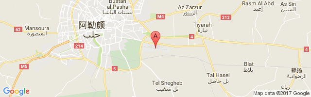 Aleppo International Airport图片