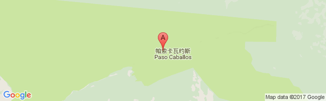 Paso Caballos Airport图片