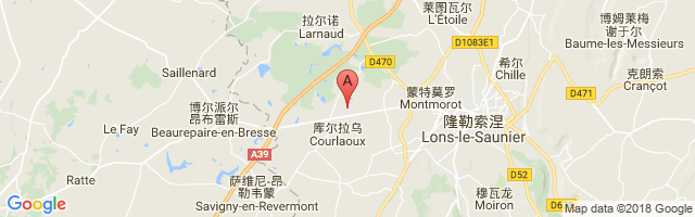 Lons Le Saulnier Courlaoux Airport图片