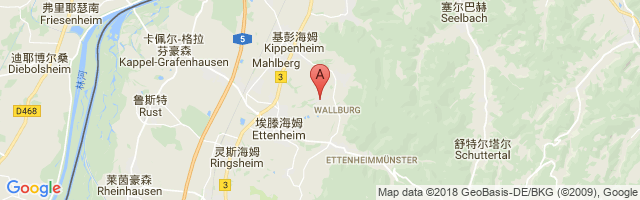 Altdorf-Wallburg Airport图片