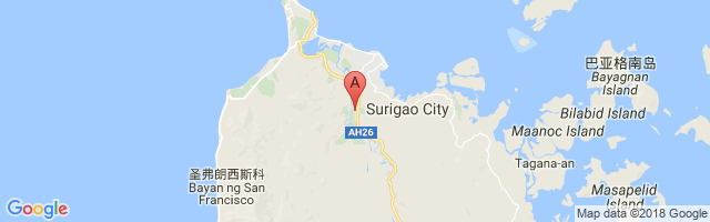 苏里高机场 Surigao Airport图片