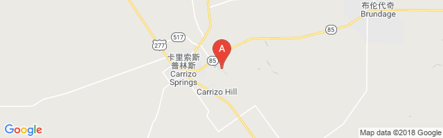 Dimmit County Airport图片
