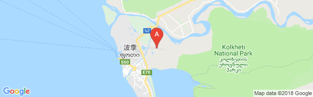 Poti East Airport图片