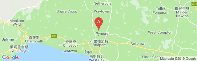 Middle Pymore Farm Airstrip (Private) Airport图片