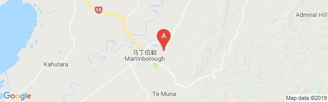 Martinborough Airport图片