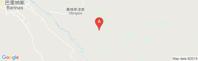 San Antonio De Barinas Airport图片