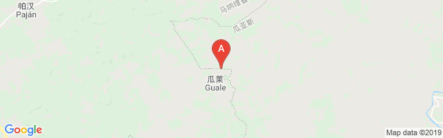Guale Airport图片
