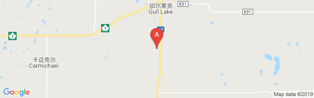 Gull Lake Airport图片