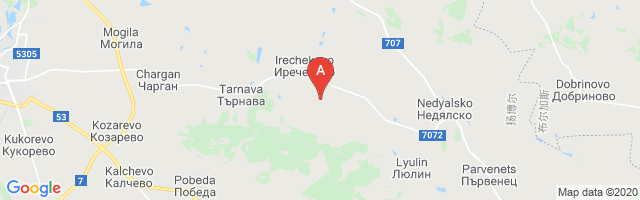 Irechekovo Airport图片