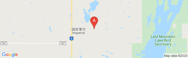 Imperial Airport图片