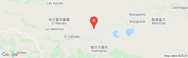Palmarito Airport图片