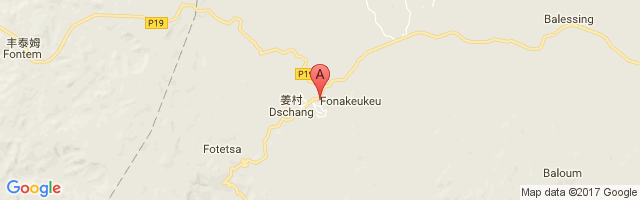 Dschang Airport图片