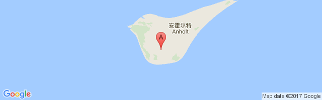 Anholt Airport图片