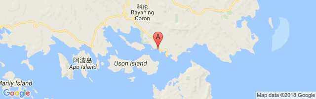 Coron Airport图片