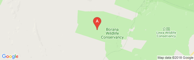Borana Airport图片