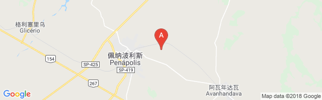 Penápolis Airport图片