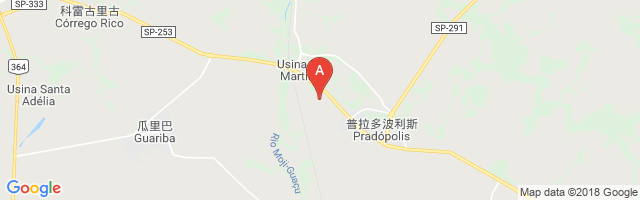 Usina São Martinho Airport图片