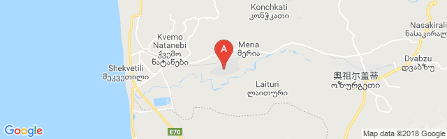 Ozurgeti Air Base Airport图片