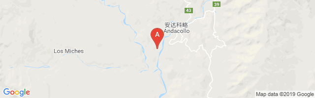 Andacollo Airport图片