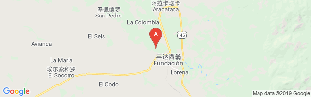 Fundación Airport图片
