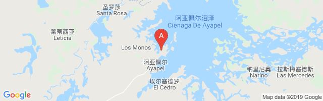 El Cebruno Airport图片