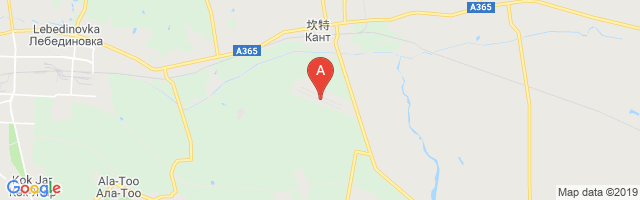Kant Air Base Airport图片