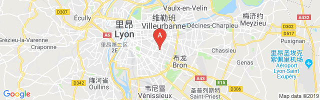 Hôpital Edouard-Herriot Airport图片