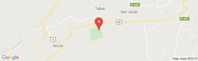 Santa Rosa De Tabalí Airport图片