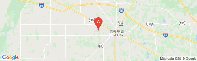 Suwannee County Airport图片