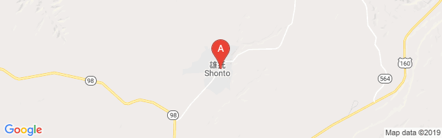 Shonto Airport图片