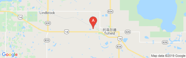 Tofield Airport图片