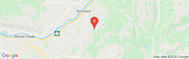 Prichard Airstrip Airport图片