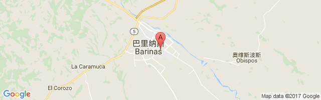 Barinas Airport图片