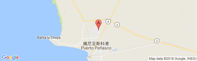 Puerto Peñasco International Airport图片