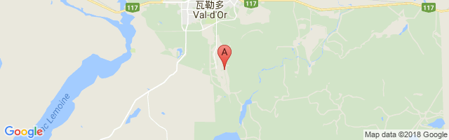 瓦勒多机场 Val-d'Or Airport图片