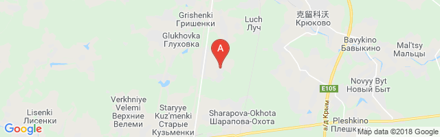 Volosovo Airfield Airport图片