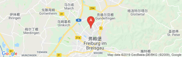 Freiburg i. Br. Airport图片