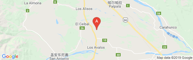 Puerta De Avalos Airport图片