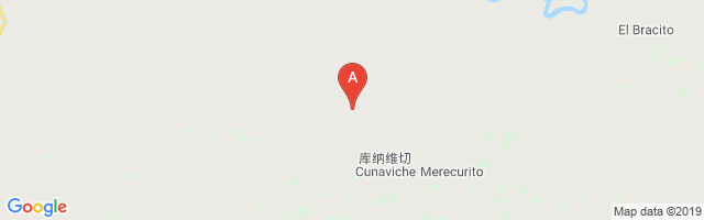 Cunaviche Airport图片