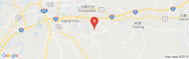 Rainey Field Airport图片