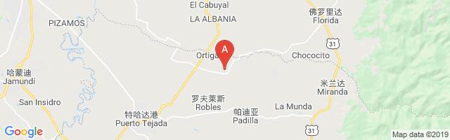 Ingenio Incauca Airport图片