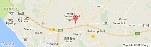埃斯比约机场 Esbjerg Airport图片