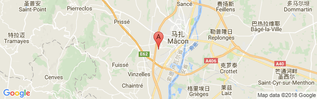 Mâcon-Charnay Airport图片