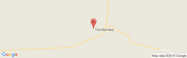 Tandy Bulak Airport图片