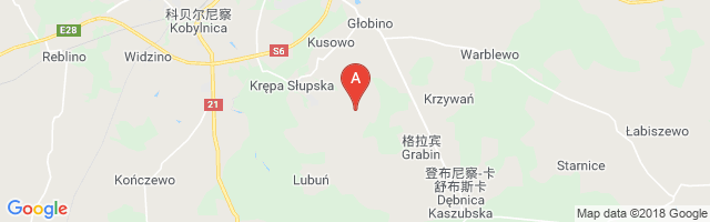 Słupsk-Krȩpa Airport图片