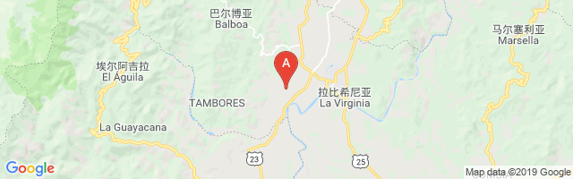 Ingenio Risaralda Airport图片