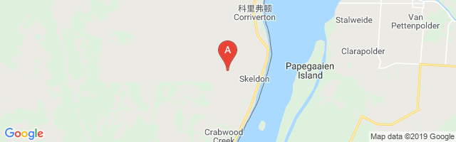 Skeldon Airport图片